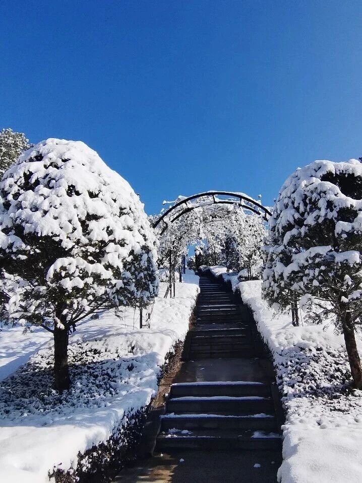 1-251029140345292 南宫·NG(中国)电子游戏官网