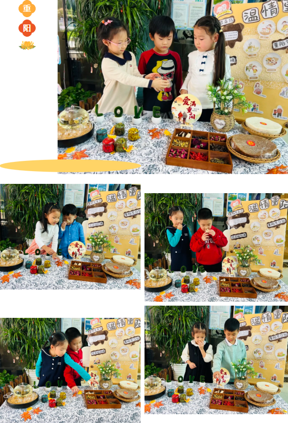 1-2510300Q530509 南宫·NG(中国)电子游戏官网