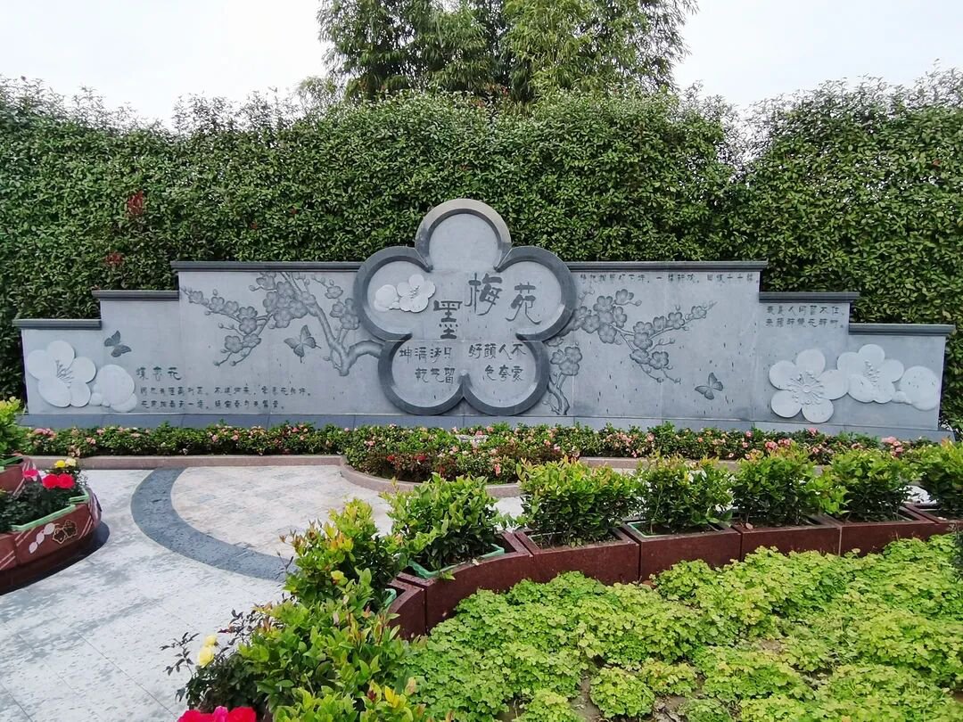 南宫·NG(中国)电子游戏官网