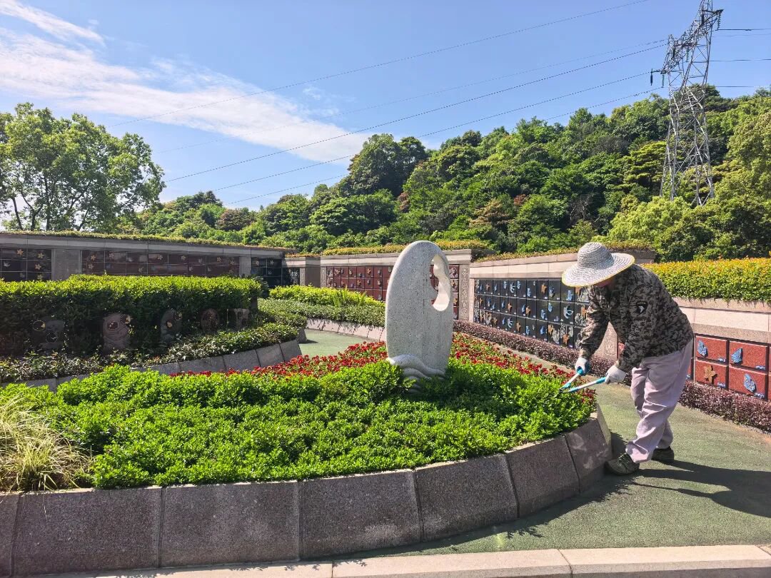 南宫·NG(中国)电子游戏官网